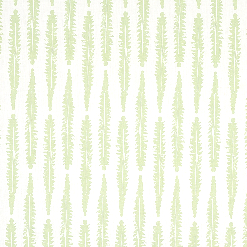 FERN – SAGE