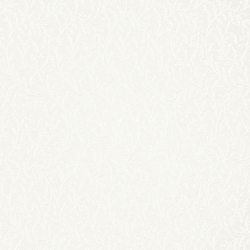 FERNWOOD SHEER – NATUREL