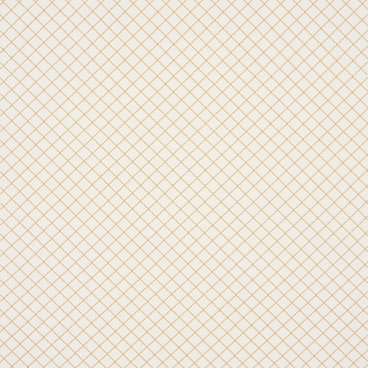 MAGGIE LATTICE – NEUTRAL