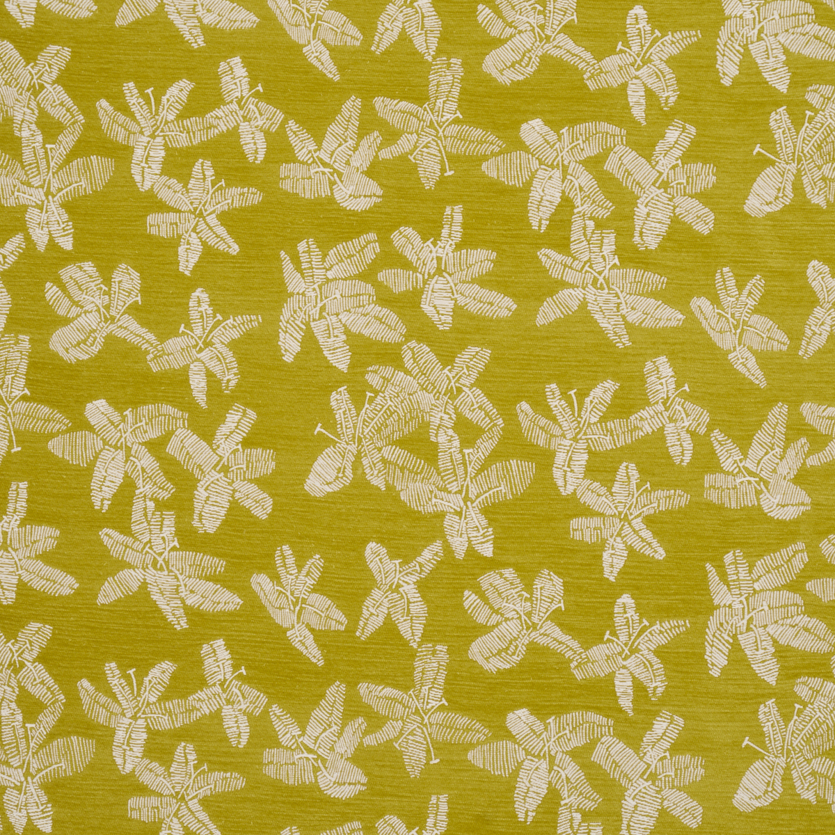 HIBISCUS – CITRON VERT