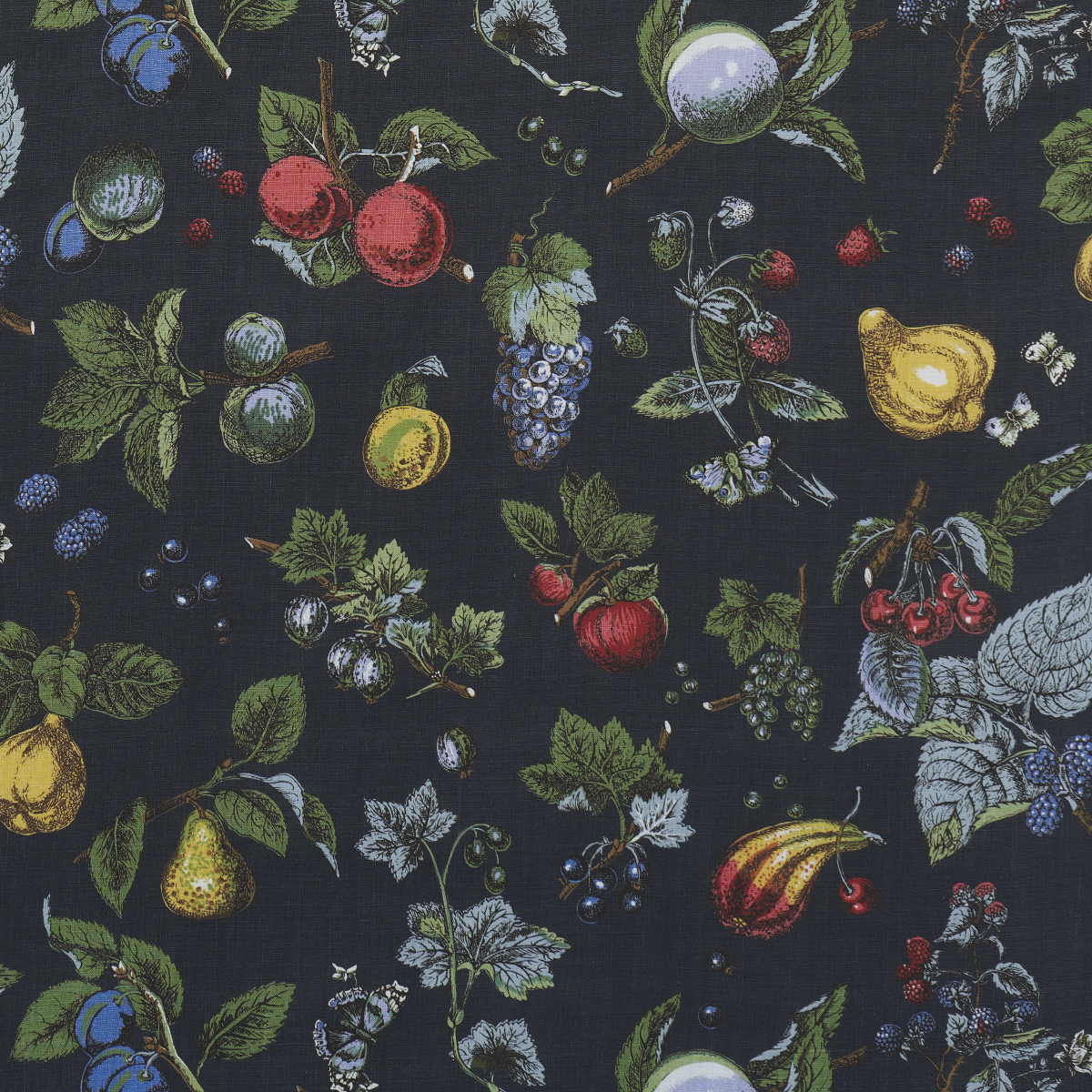 BERRY GROVE – NOIR