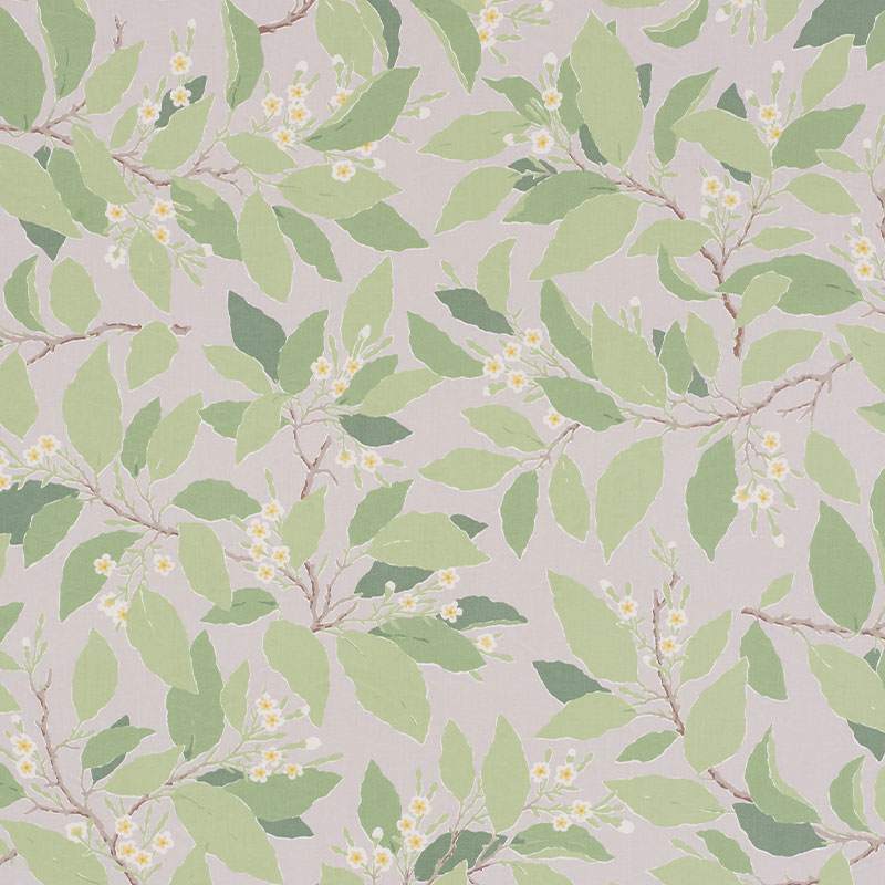 DOGWOOD LEAF – GRISAILLE