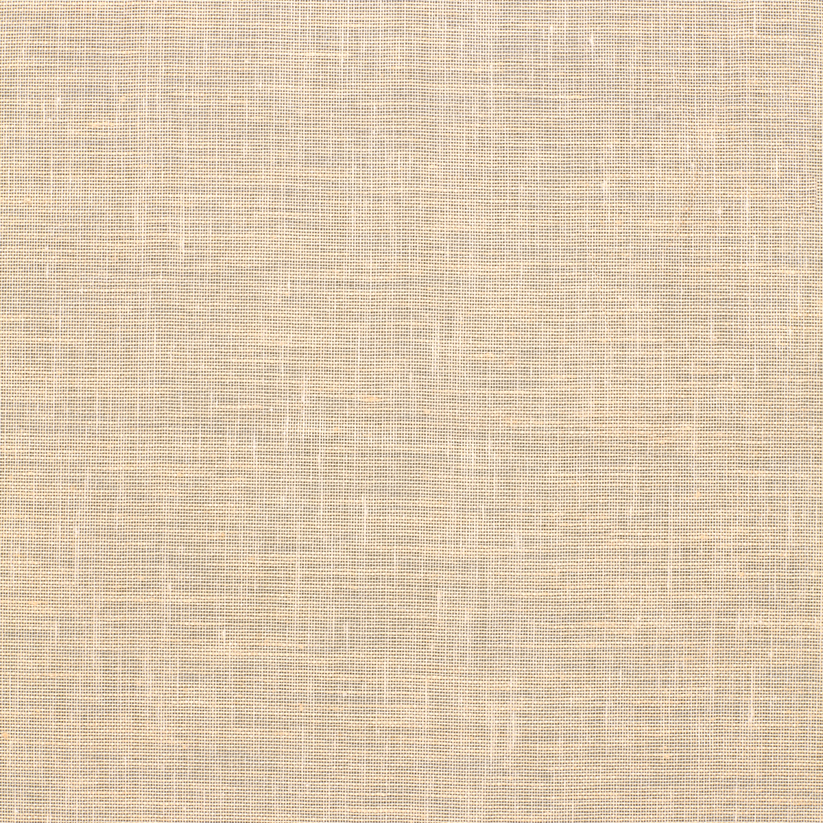 SCRIM SHEER – CREME
