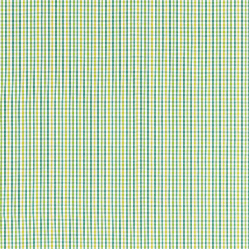 BAHAMA CHECK – LAGOON
