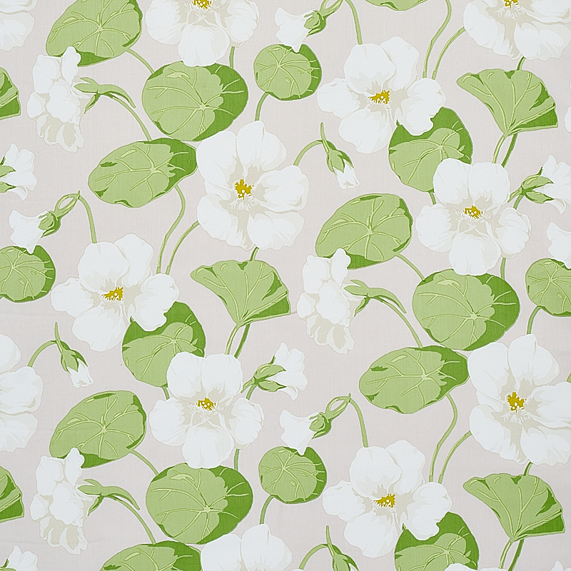 NASTURTIUM – STONE