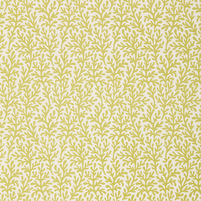 SEA CORAL – CHARTREUSE
