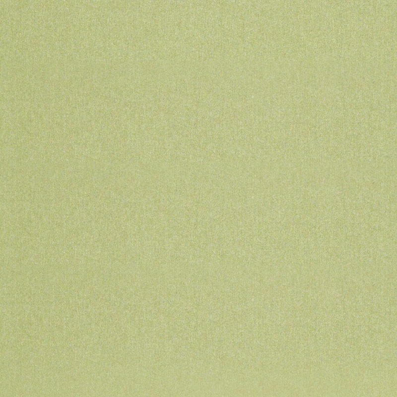 CHESTER WOOL – ALOE