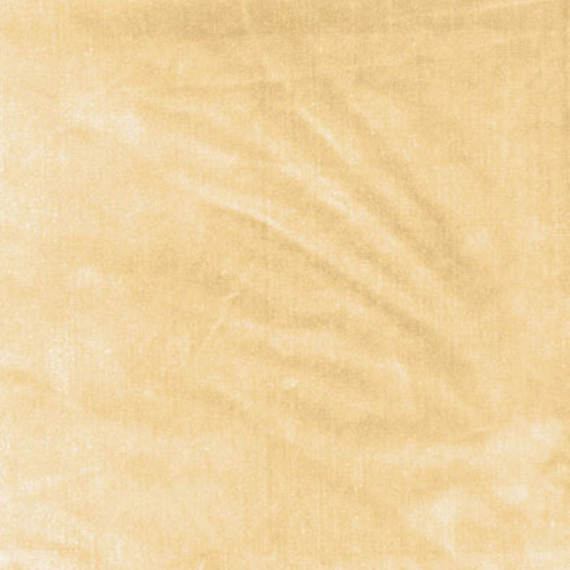 VENETIAN SILK VELVET – CHAMPAGNE