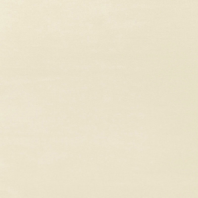 SOPHIA VELVET – CHAMPAGNE