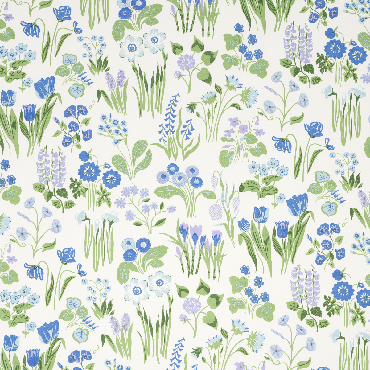 CARLY – BLUE BELL