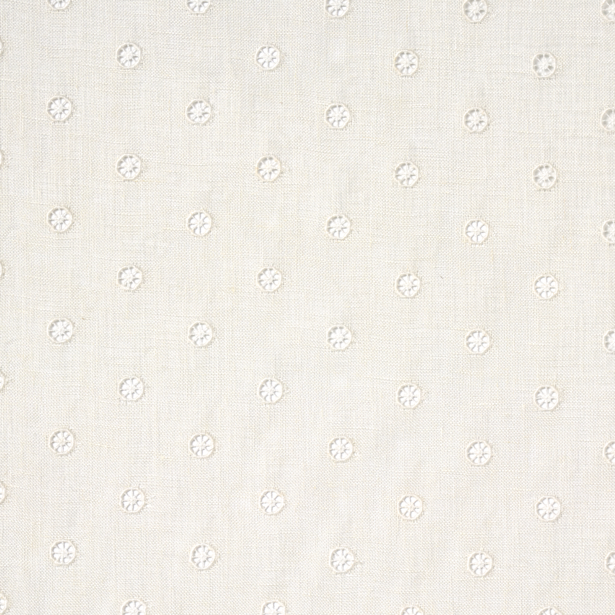 Olivia Sheer Embroidery – EGGSHELL