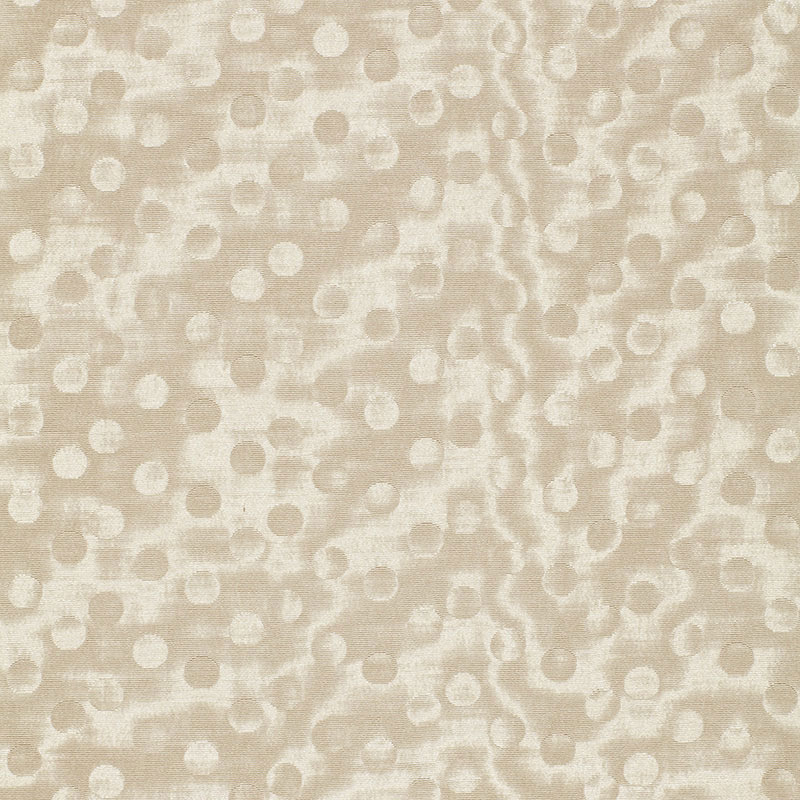 LIMELIGHT – IVORY