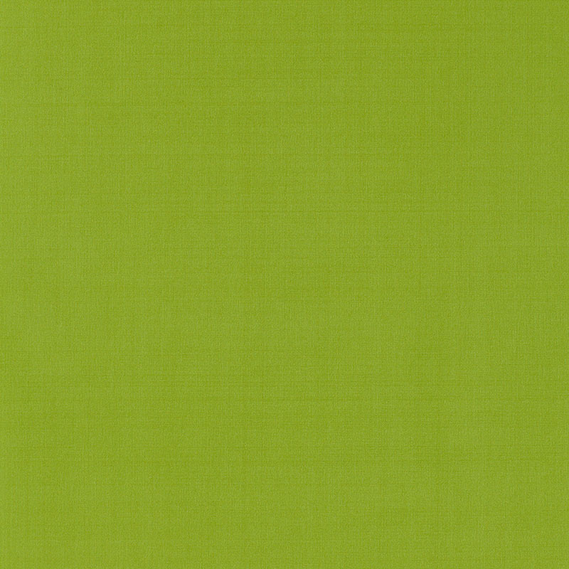 GIORDANO TAFFETA – LIME
