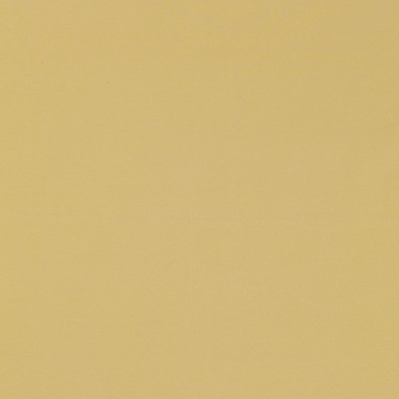 MASACCIO TAFFETA – JONQUIL