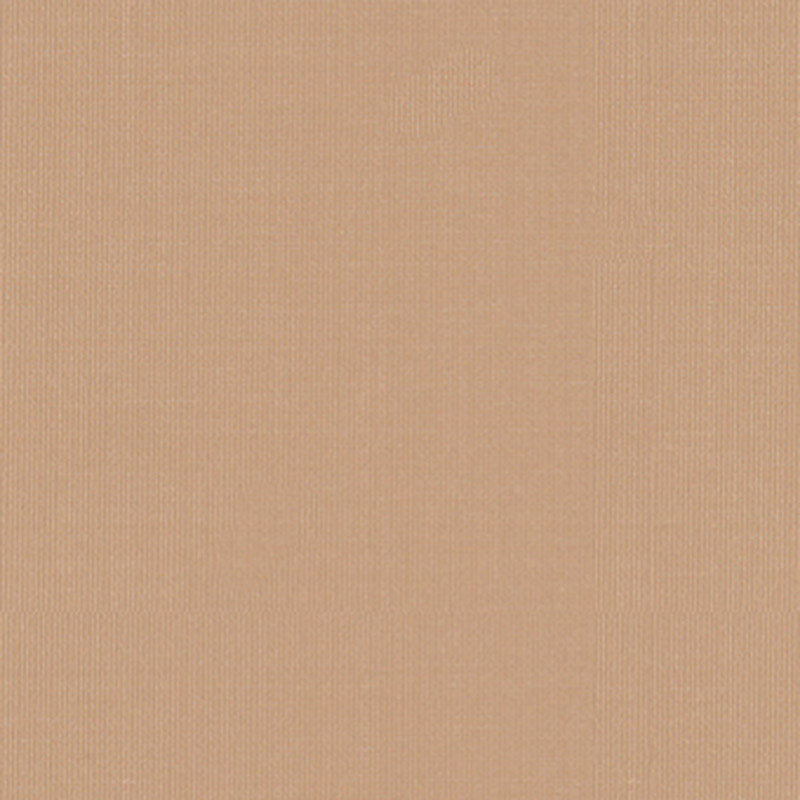 SARGENT SILK TAFFETA – BUFF