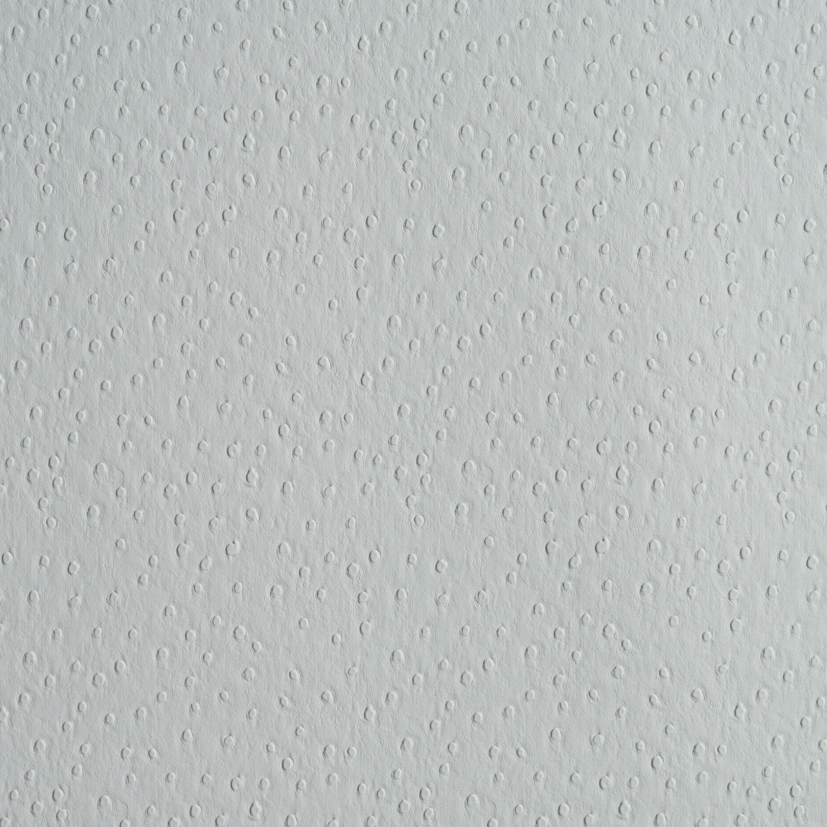 OSTRICH VEGAN LEATHER – FOG