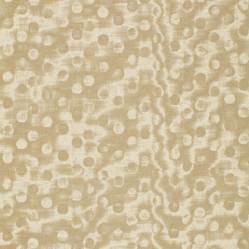 LIMELIGHT – CASHMERE