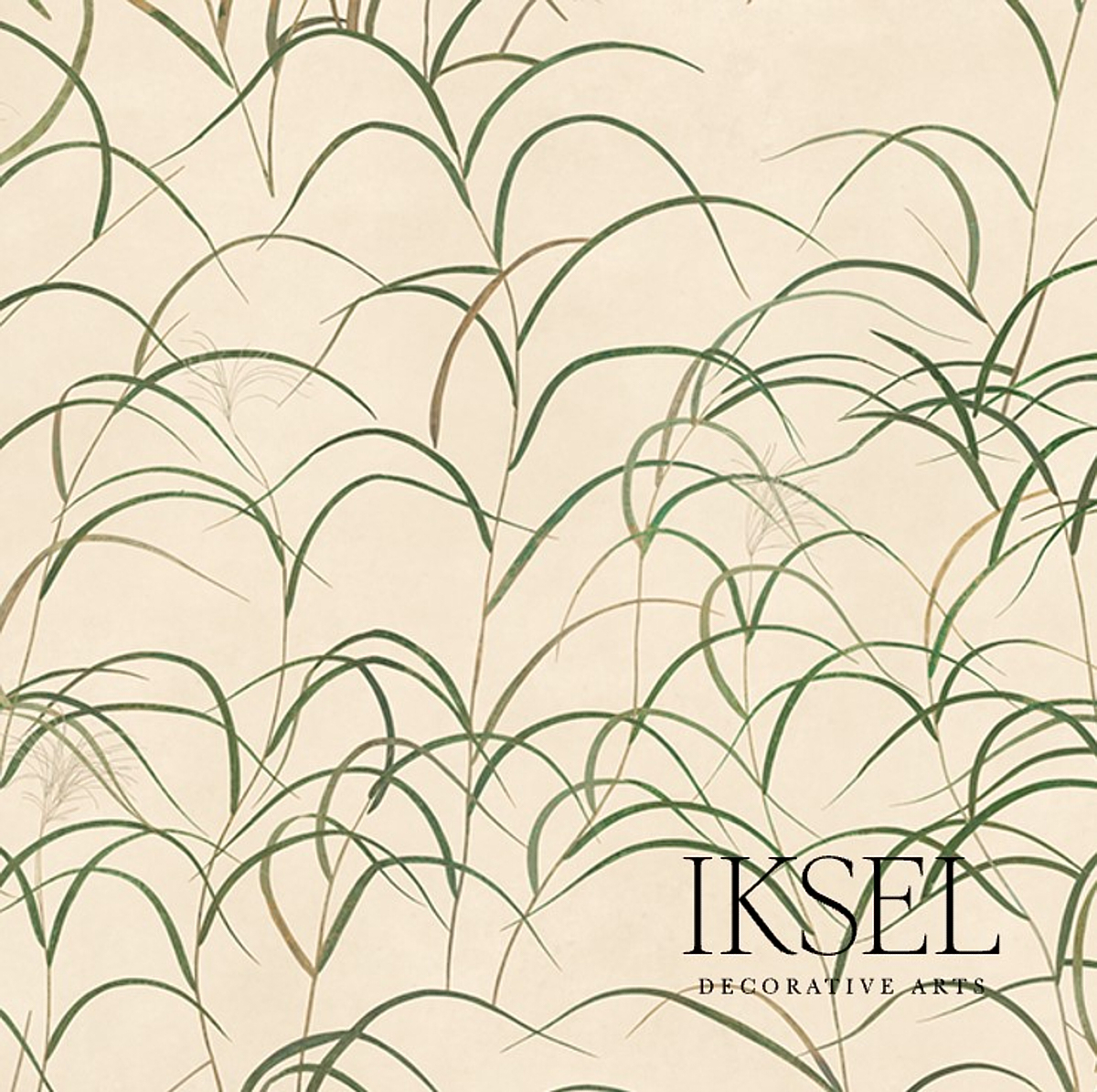 JAPANESE GRASS – RICE