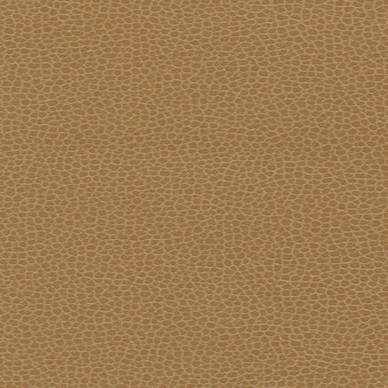 PROMESSA – CAMEL