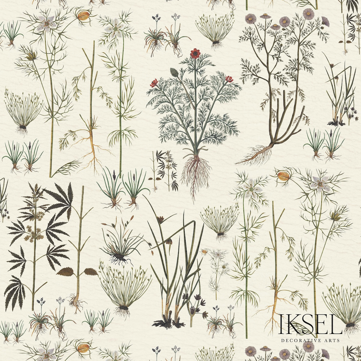 HERBIER – WHITE