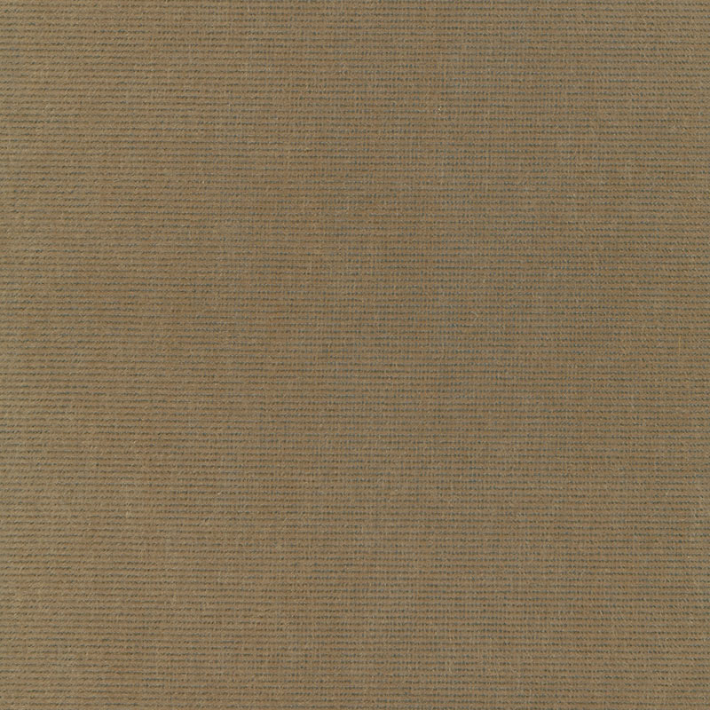 CHIAROSCURO VELVET – MINK
