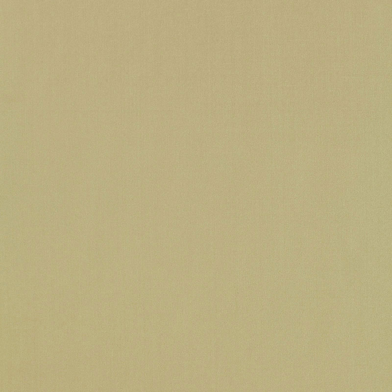 GIORDANO TAFFETA – CELERY