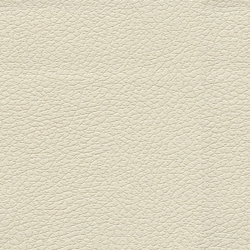 BRISA – BIRCH