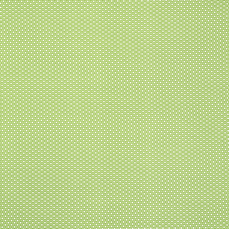 QUEEN B II INDOOR/OUTDOOR – GREEN