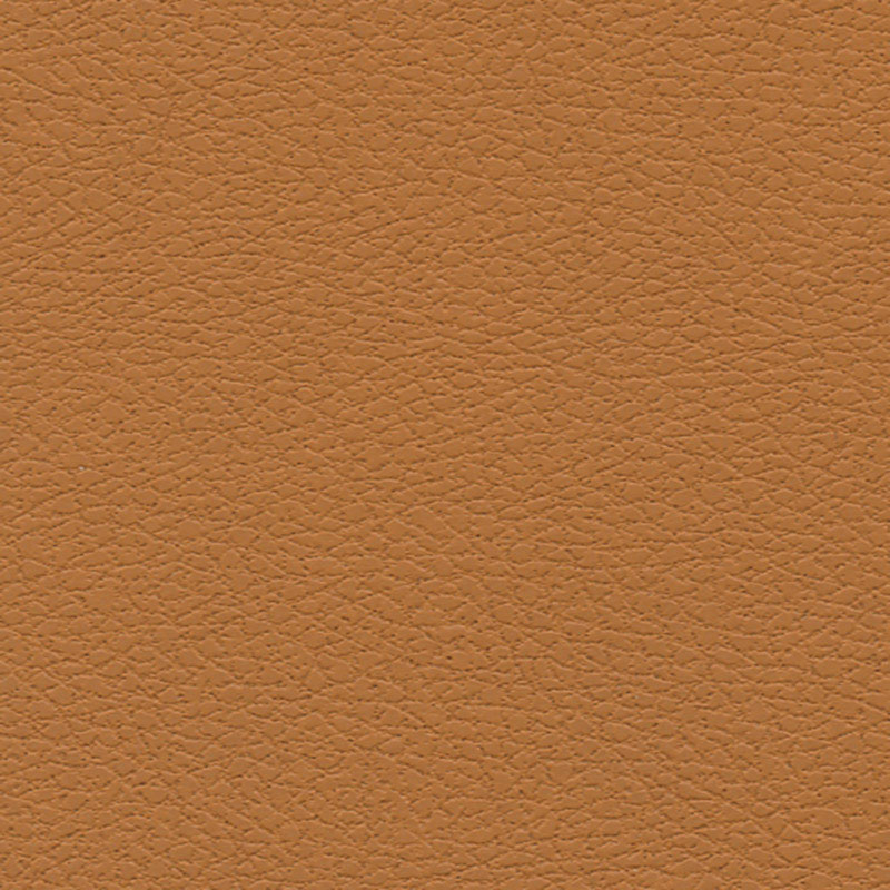 BRISA – AZTEC