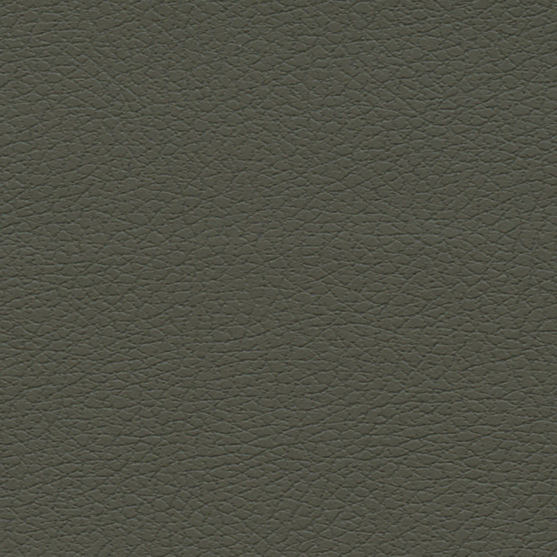 BRISA – OLIVE