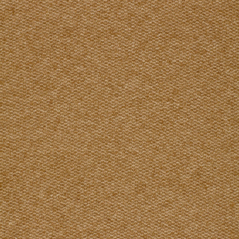 TWEEDY – VICUNA