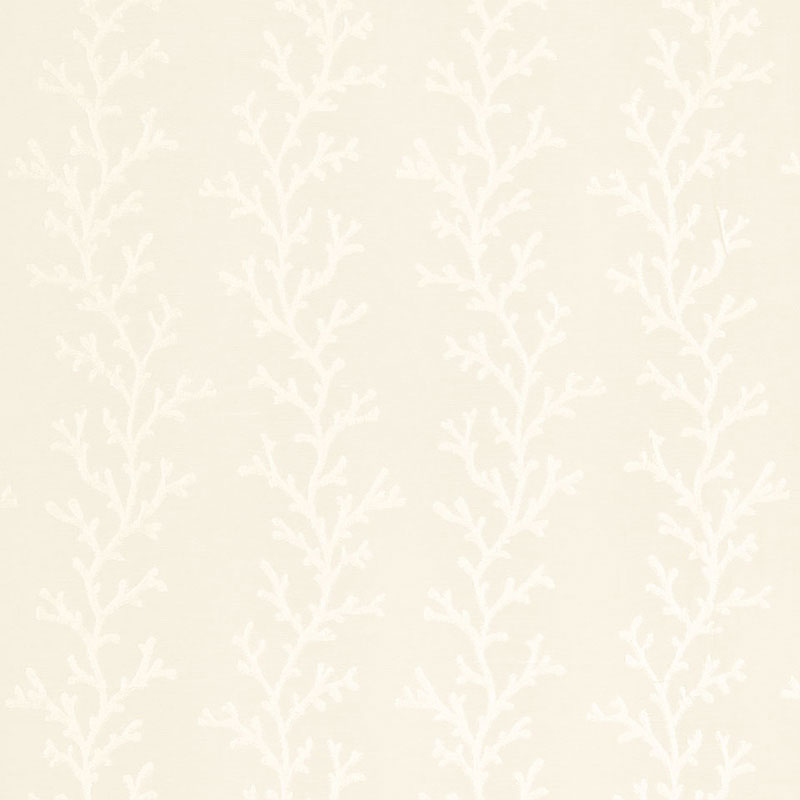 CORAL SHEER – POLAR WHITE / ECRU