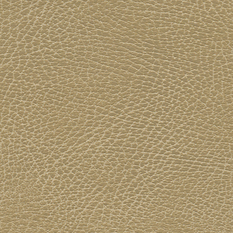 BRISA DISTRESSED – BUCKSKIN