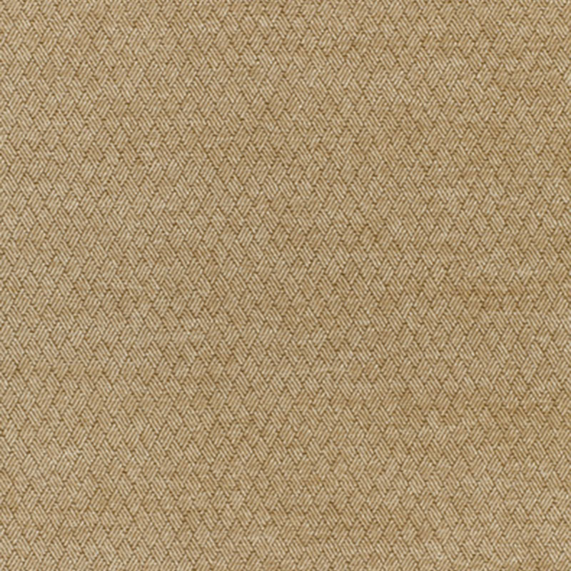 PAVIA – PARCHMENT