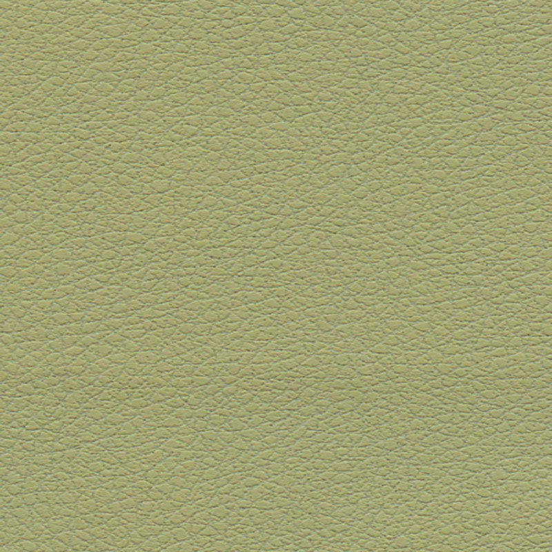 BRISA – CELERY