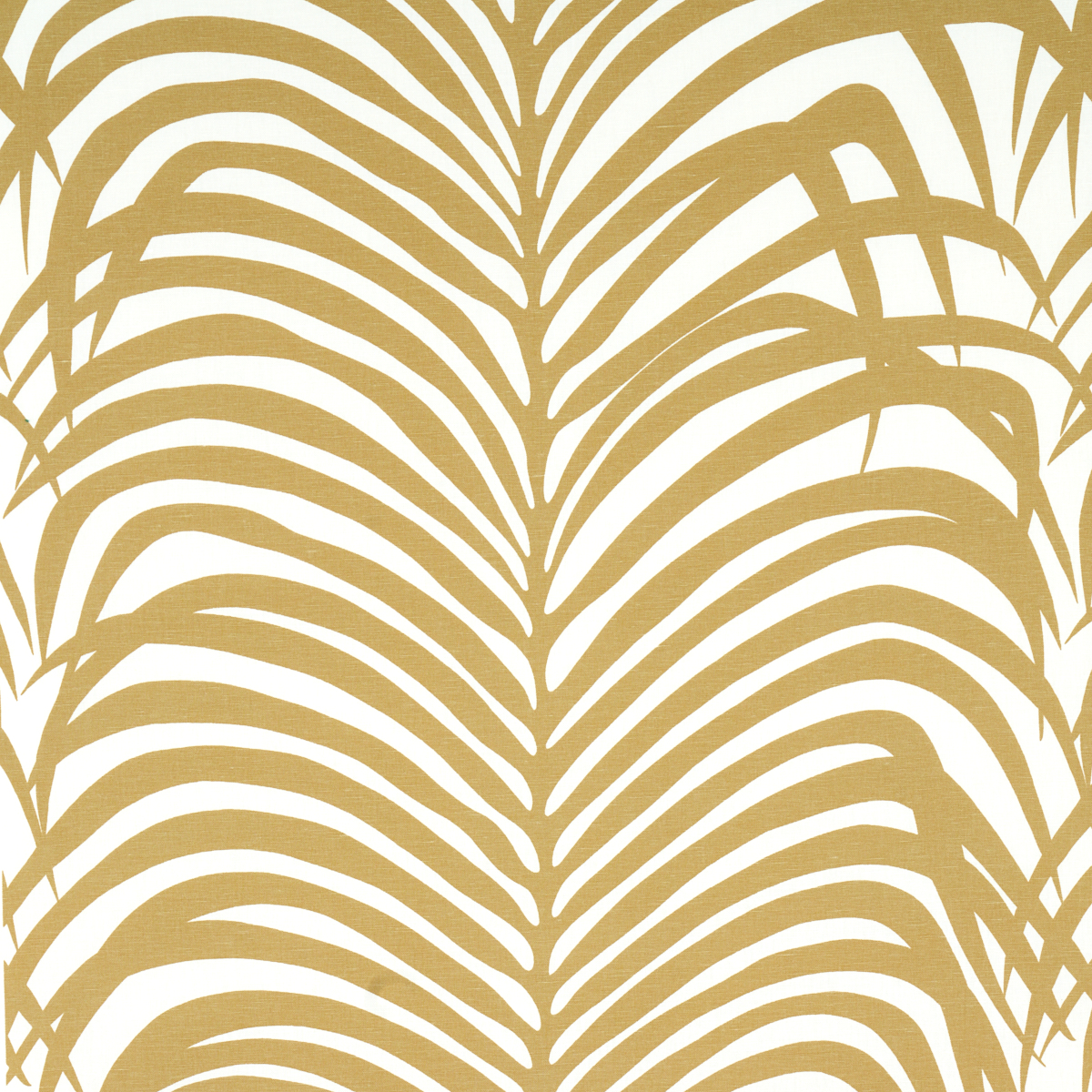 ZEBRA PALM – KHAKI