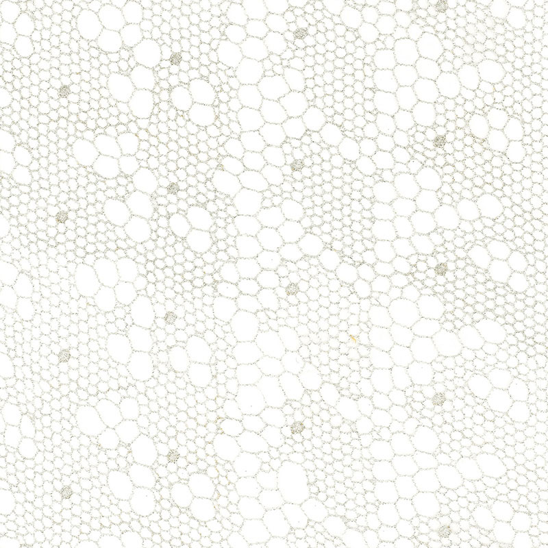 TRACERY LACE SHEER – SILVER