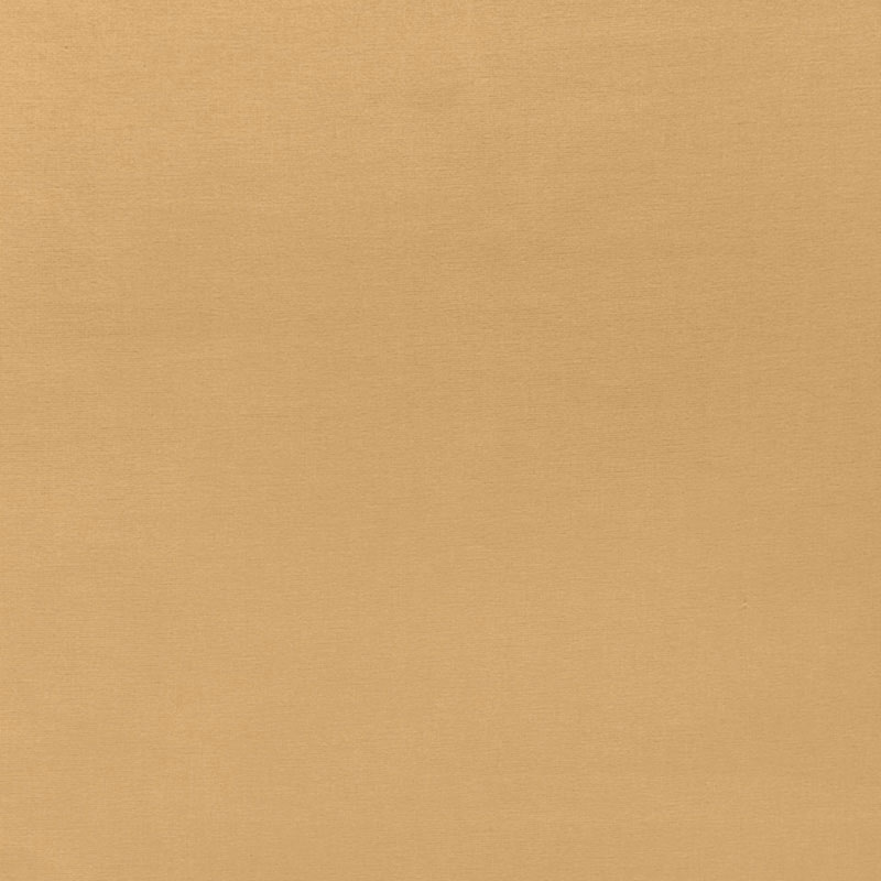 SOPHIA VELVET – MAIZE