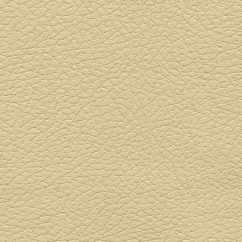 BRISA – CAMEL