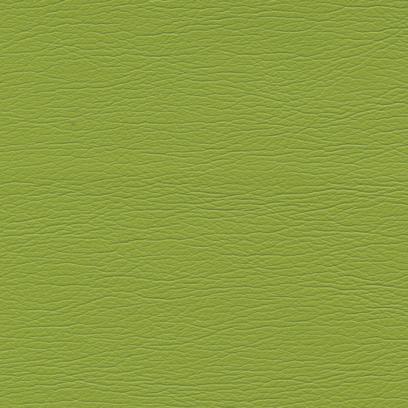 ULTRALEATHER – PARROT