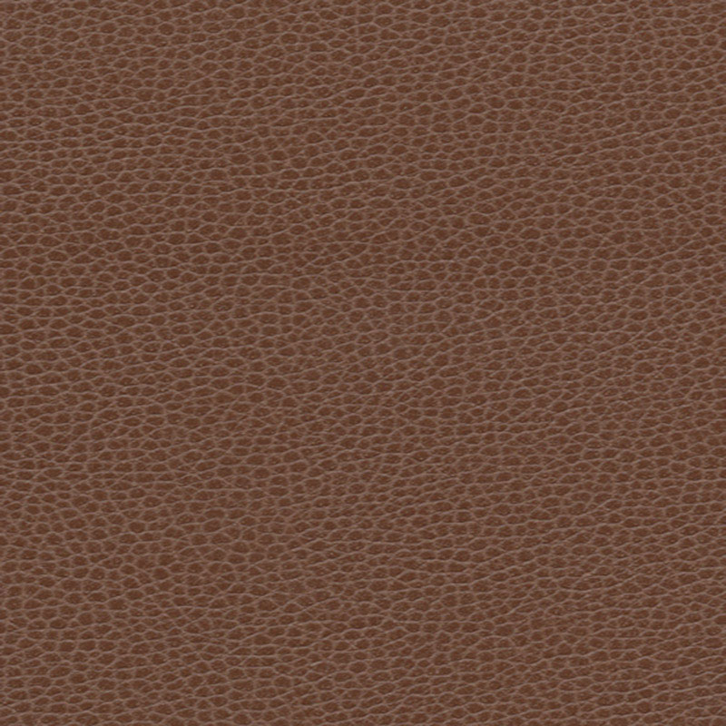 PROMESSA – TUDOR