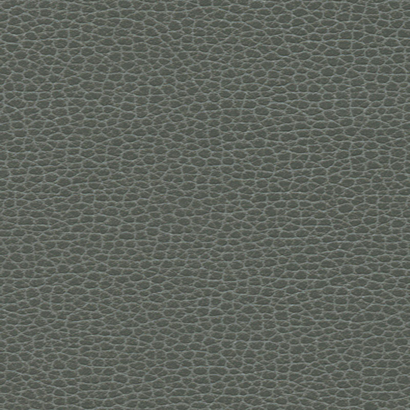 PROMESSA – SHALE