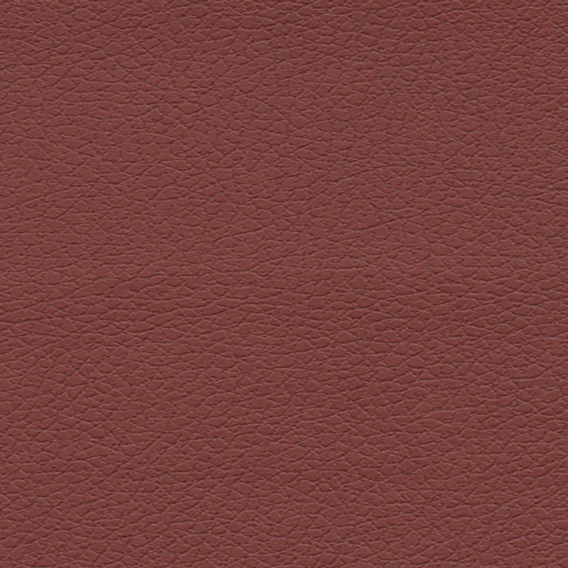 BRISA – RAISIN