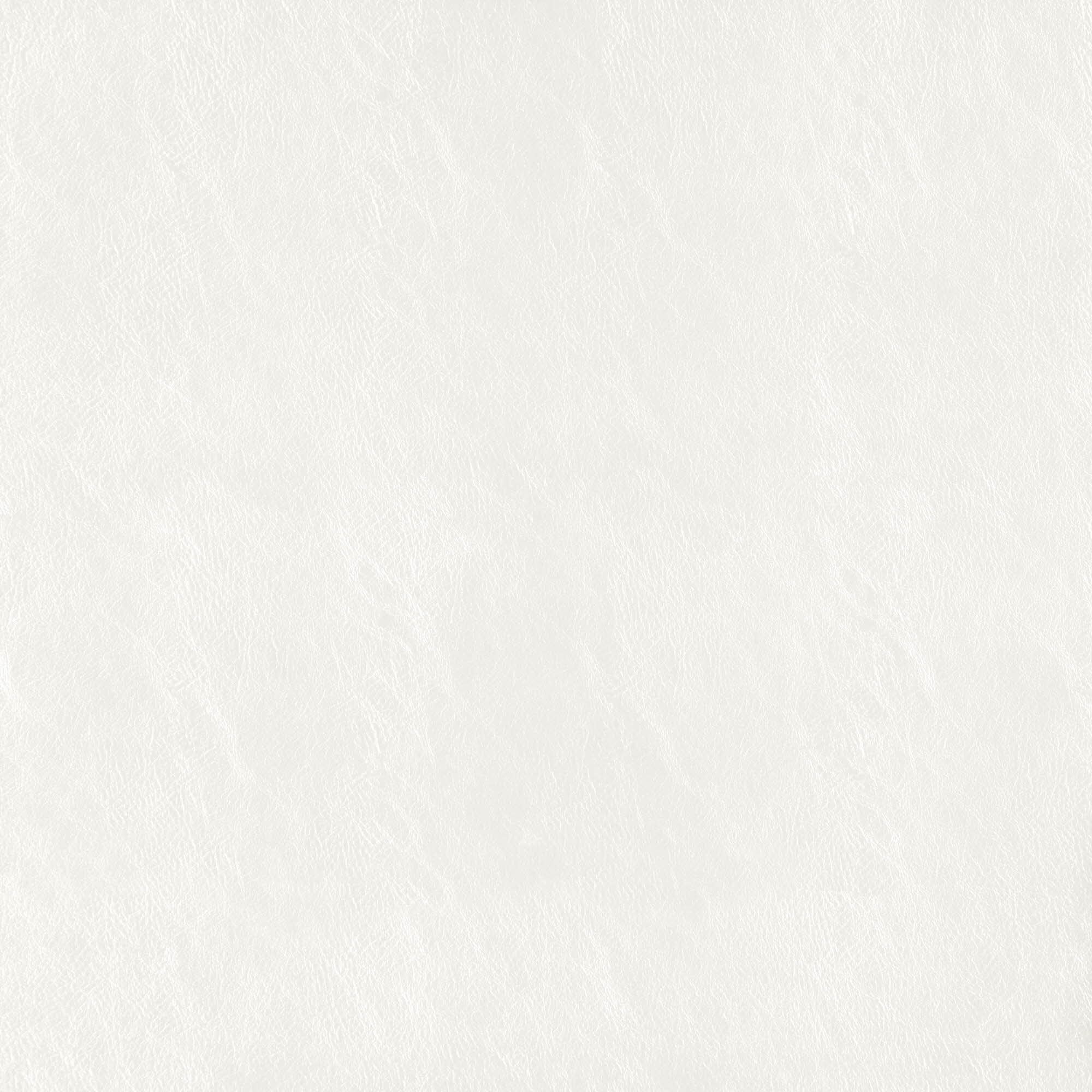 BEAUTY – J7361 – Tannery Basics Book