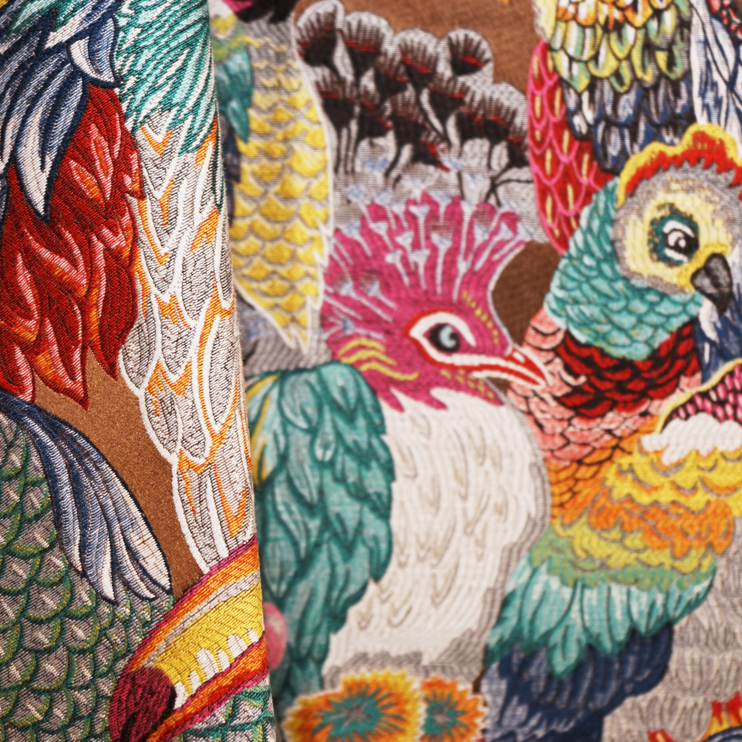 PARROTS – SJ101 – JF Studio