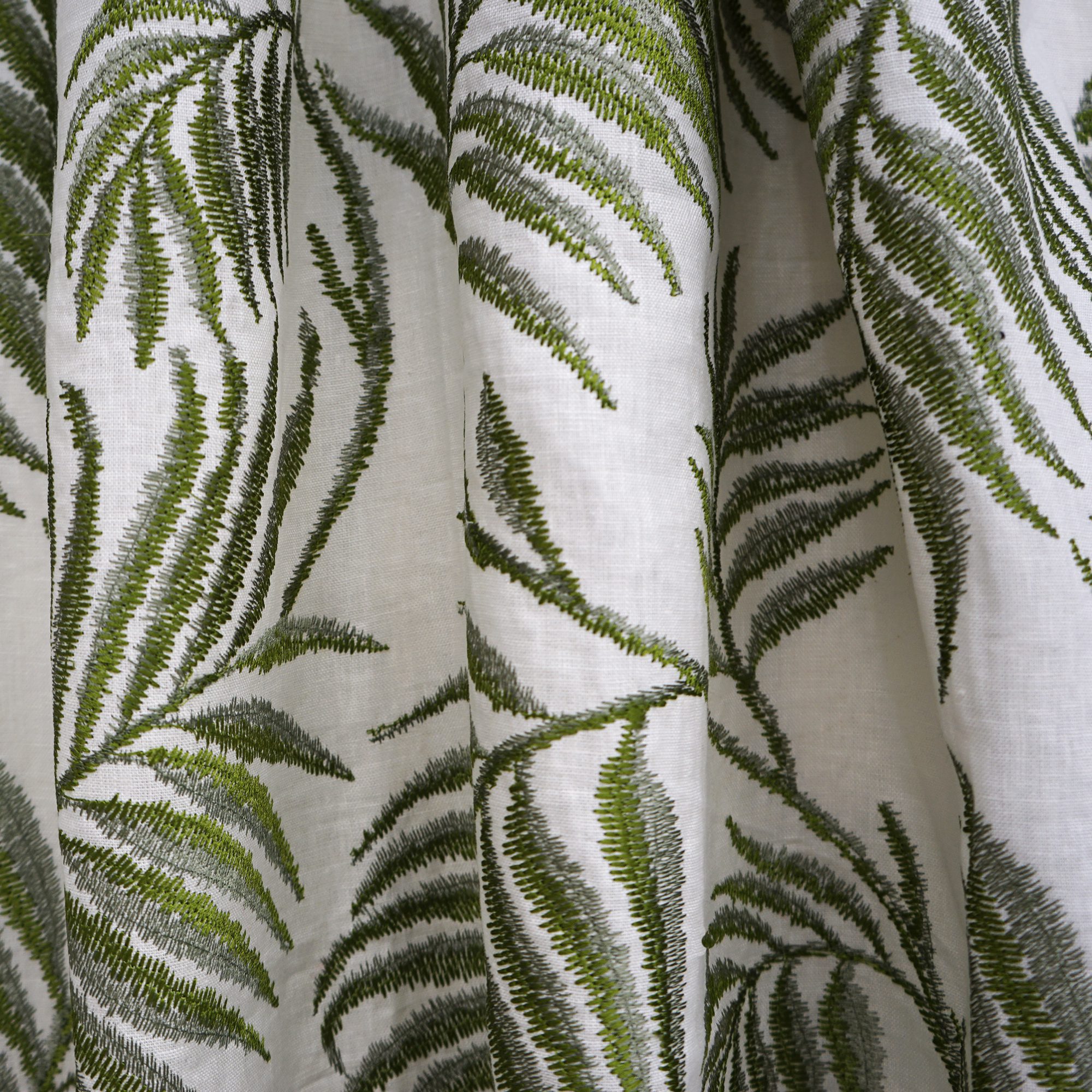 SALVINIA – SJ101 – JF Studio