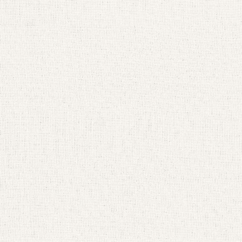 EMPIRE VOILE 118 | 101 WINTER WHITE