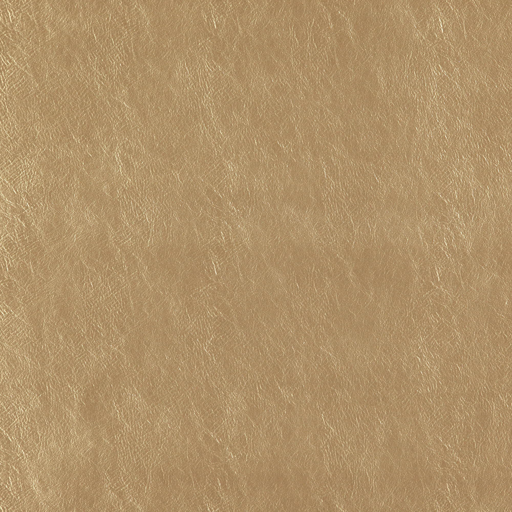 BEAUTY – J7361 – Tannery Basics Book