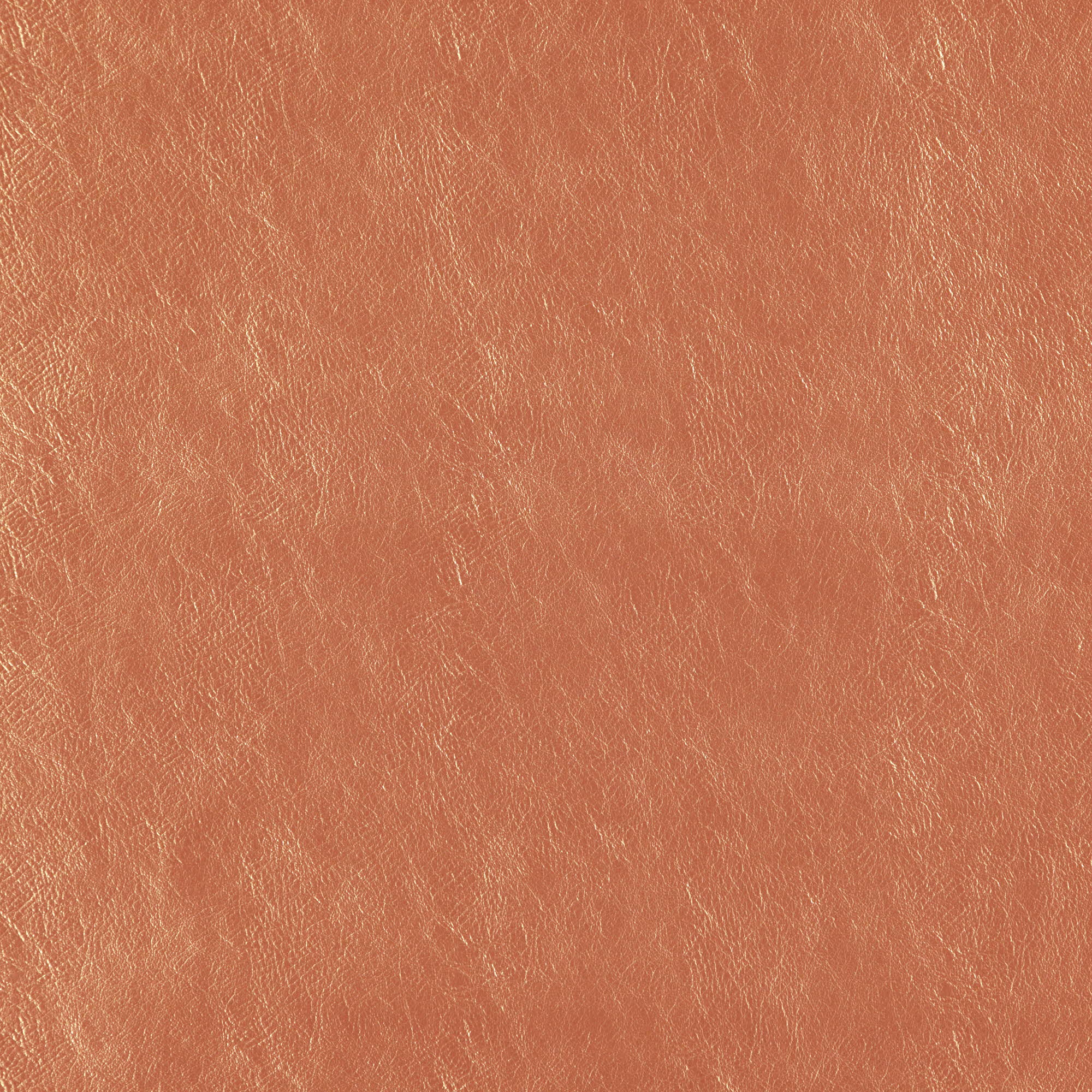 BEAUTY – J7361 – Tannery Basics Book