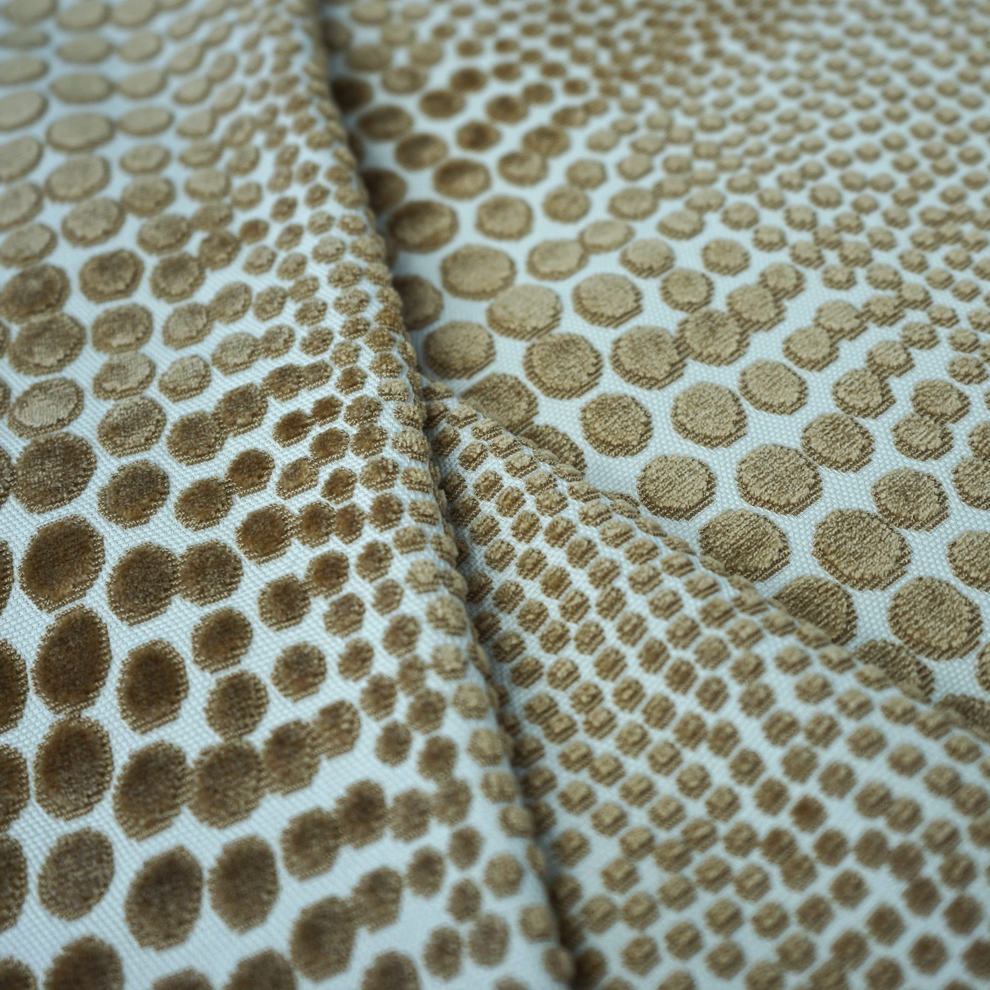 CHEETAH – SJ101 – JF Studio